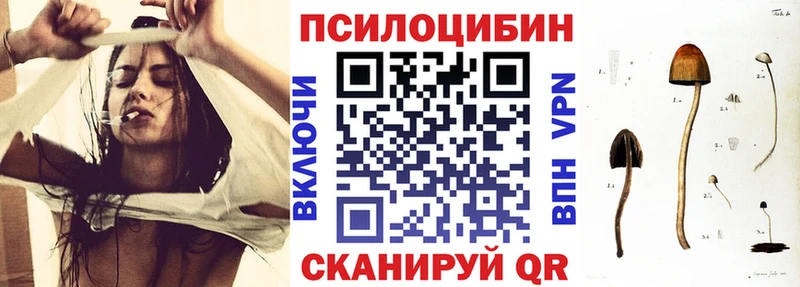 где купить наркотик  Чайковский  маркетплейс официальный сайт  Галлюциногенные грибы Psilocybe 